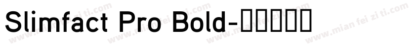 Slimfact Pro Bold字体转换
